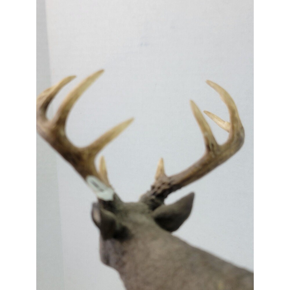 Simpkins Whitetail Buck Deer Figurine Leaping Wildlife Sculpture 13" Repaire - Picture 14 of 16